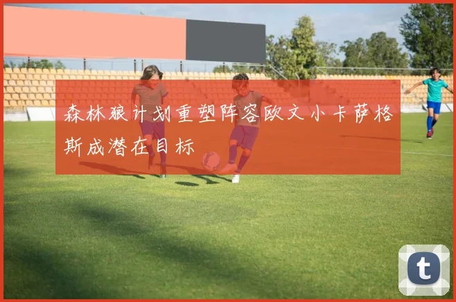 森林狼计划重塑阵容欧文小卡萨格斯成潜在目标