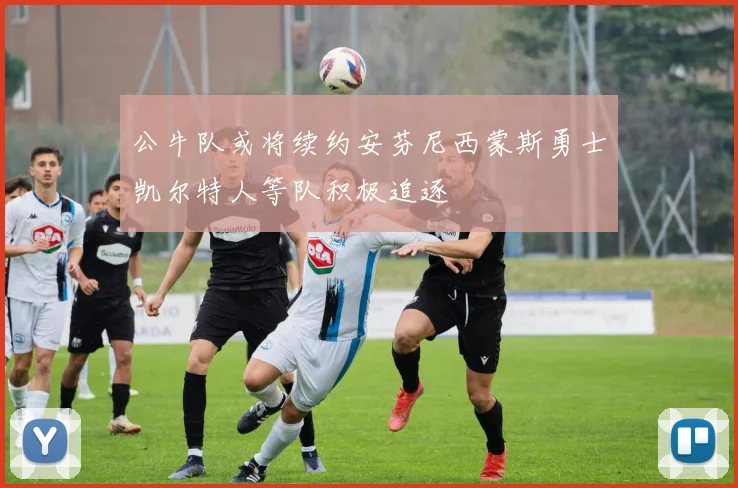 公牛队或将续约安芬尼西蒙斯勇士凯尔特人等队积极追逐